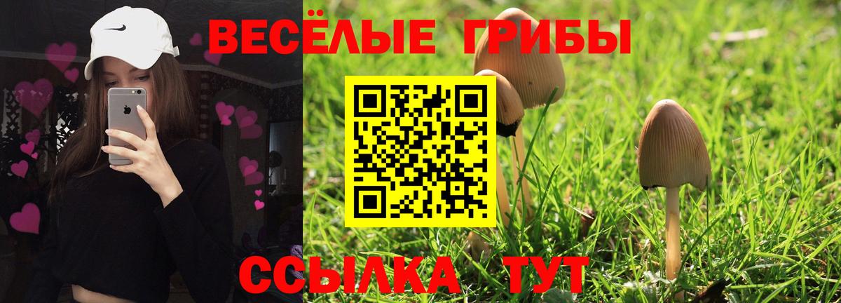 Псилоцибиновые грибы прущие грибы Магадан