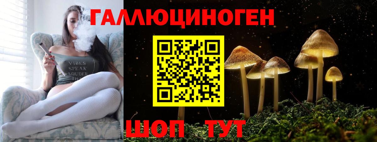 даркнет сайт  Вход с VPN  Магадан  Псилоцибиновые грибы ЛСД 
